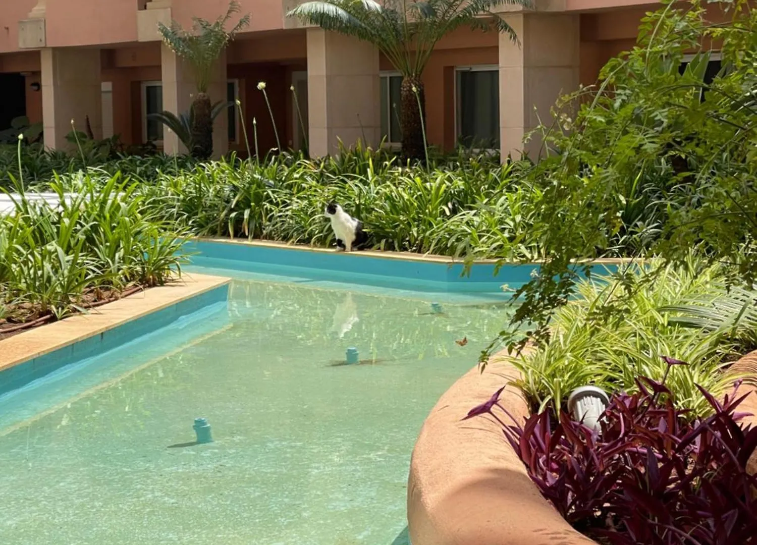 Magna 3 Bed Nueva Andalucia Marbella Apartment 0*,  Spain